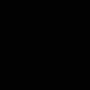 Meet your Posher, Lili